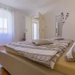 Haus Ivy * 茨里克韦尼察